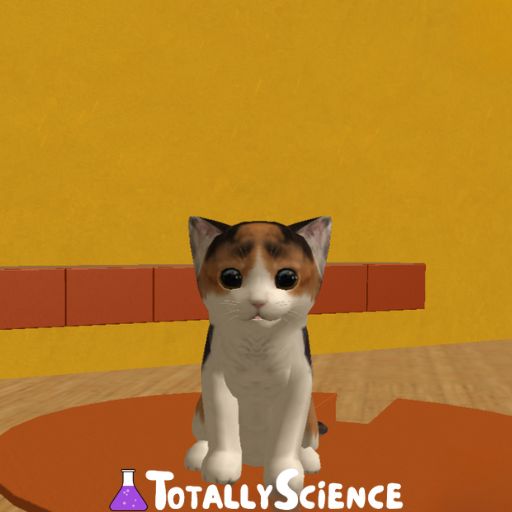 Cat Simulator