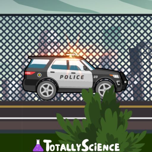 City Police Cars