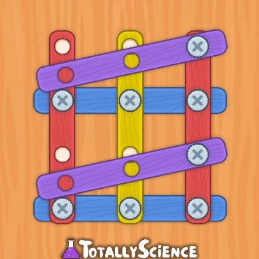 Nuts and Bolts Puzzle