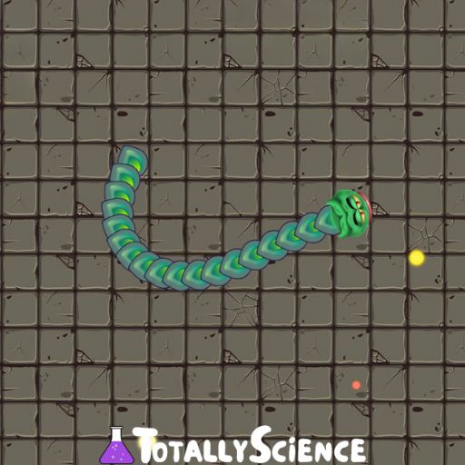 Snake Wars