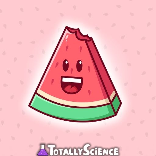 Watermelon Game